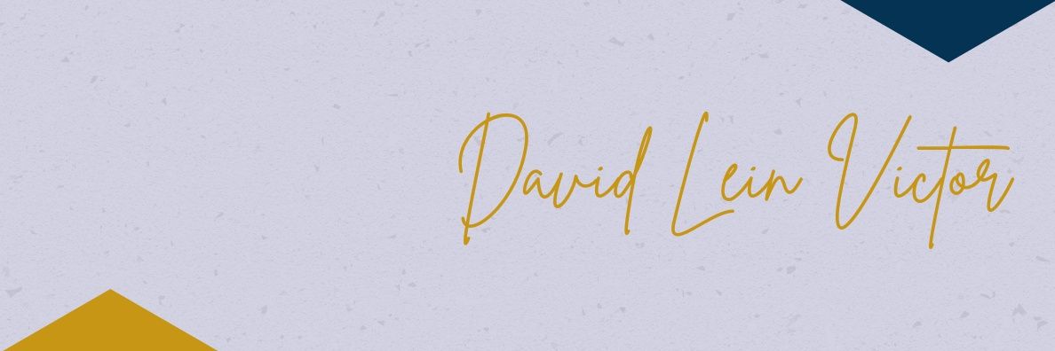 David Lein Victor banner