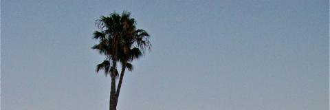 IAmAMocker's profile banner image