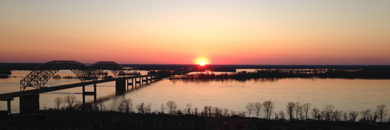 Ari Friedlander banner