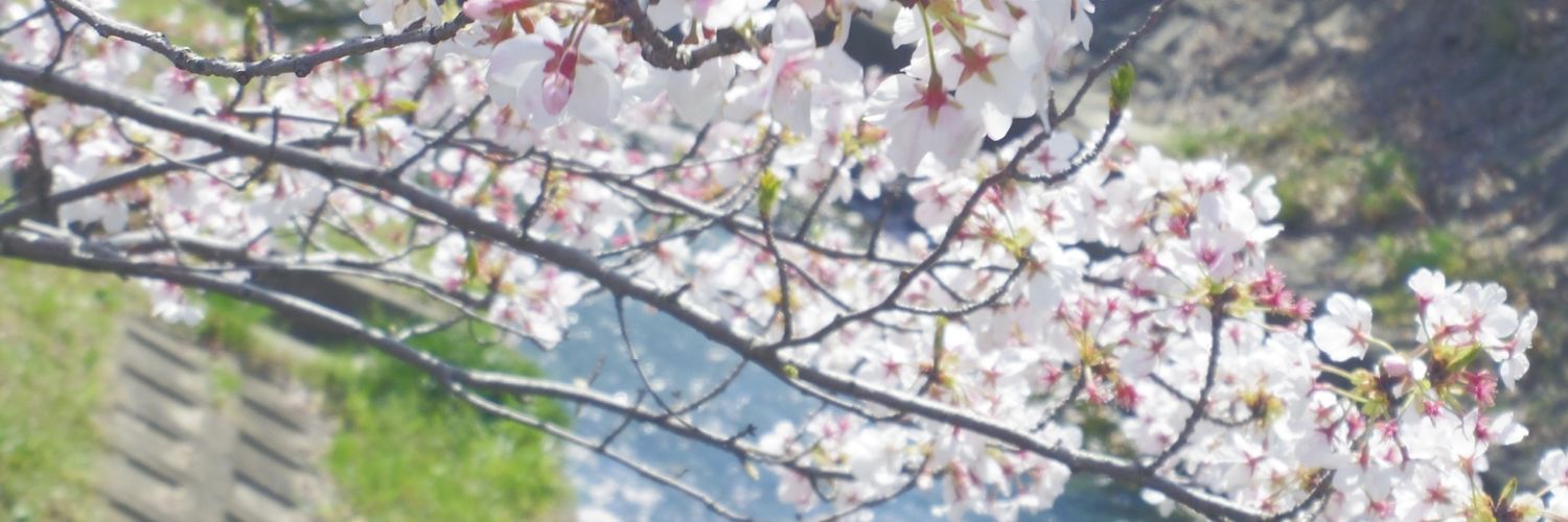 ayapyon76's profile banner image