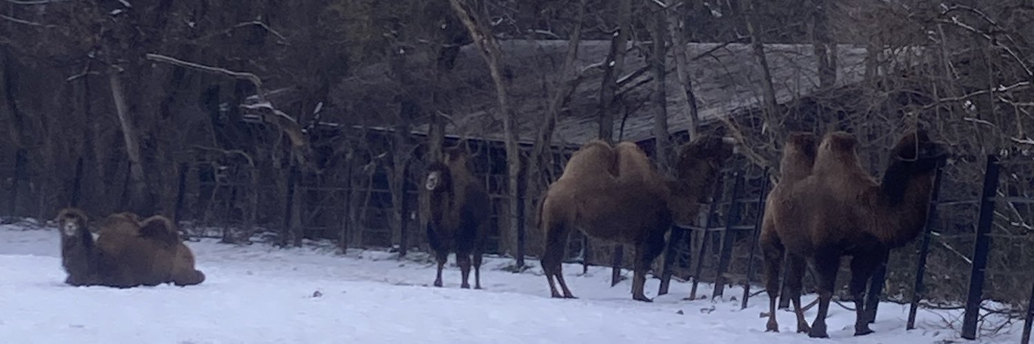 bulbasaurbuddy banner