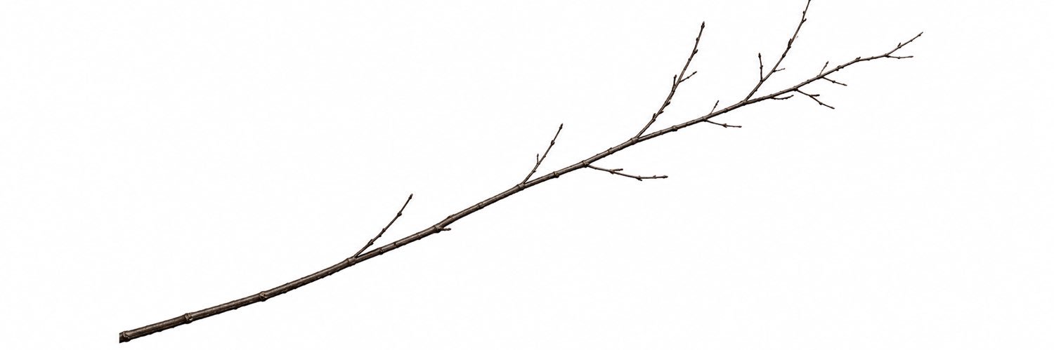 sticksolstick's profile banner image