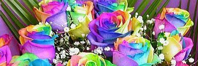 Bulbul_G's profile banner image