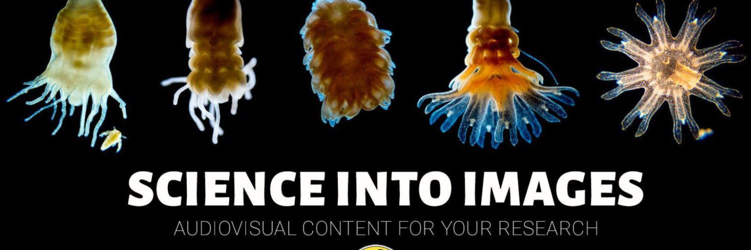 Science into Images banner
