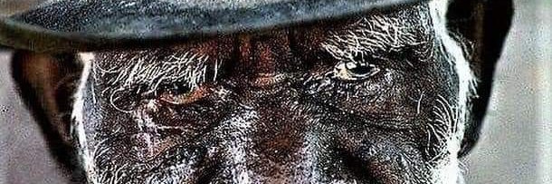 Zamoney banner