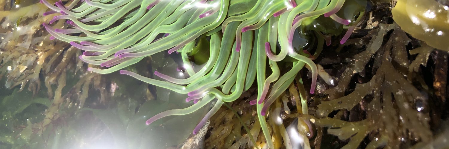 CFGSBio's profile banner image