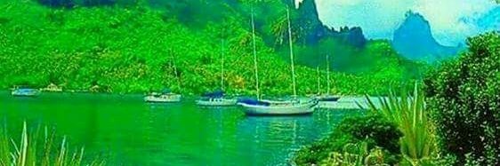saadrashied's profile banner image