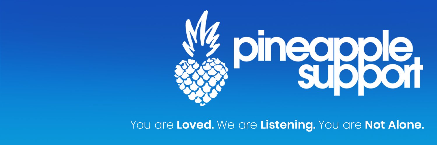 Pineapple Support banner