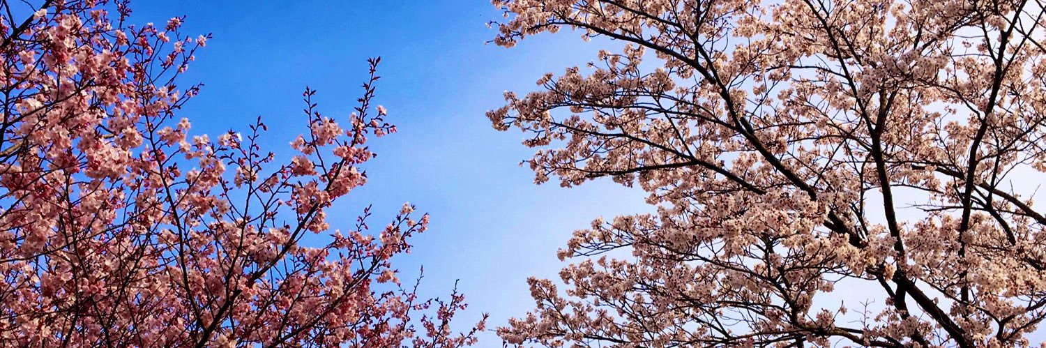羽璃 banner