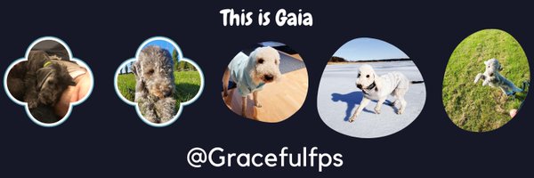 Gracefulfps Profile Banner