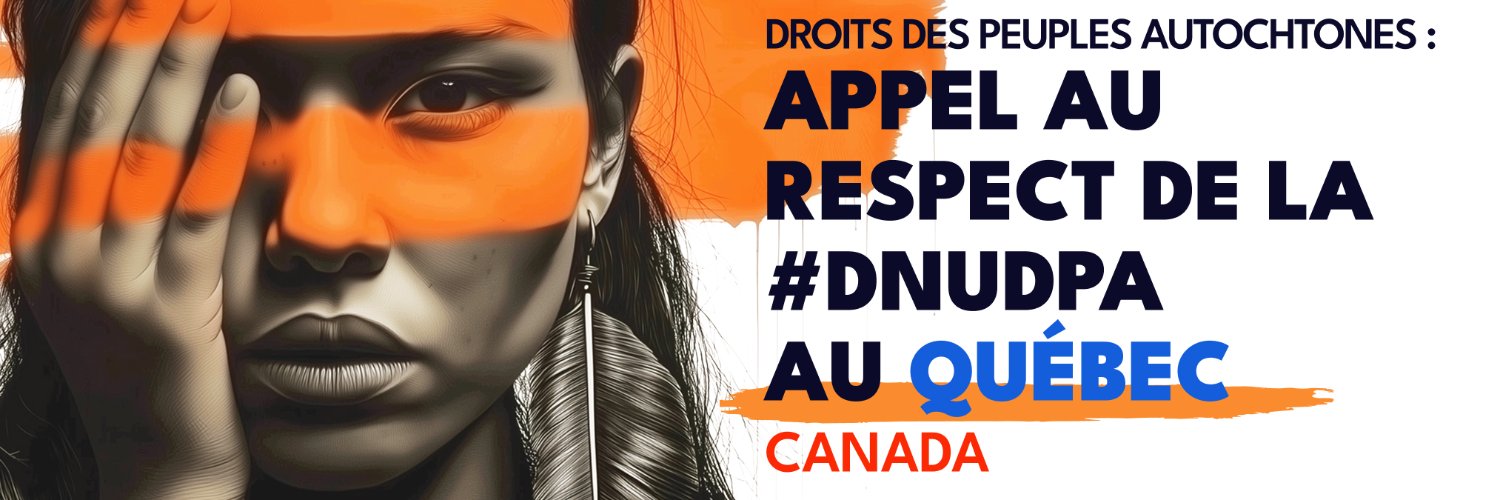 APNQL | AFNQL banner