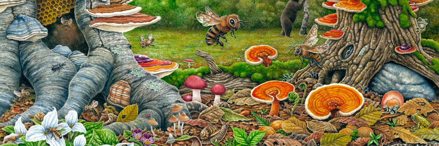Paul Stamets's banner