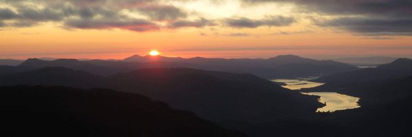 d_calder Profile Banner