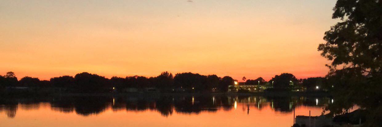 AllieLybrook's profile banner image