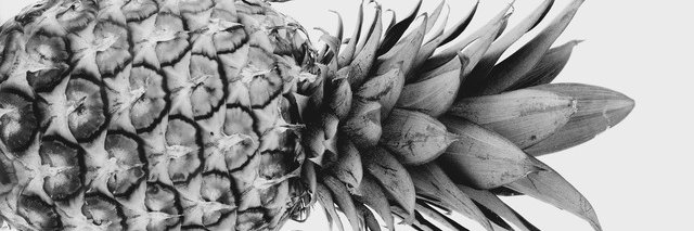 Ronnellys Guevara banner