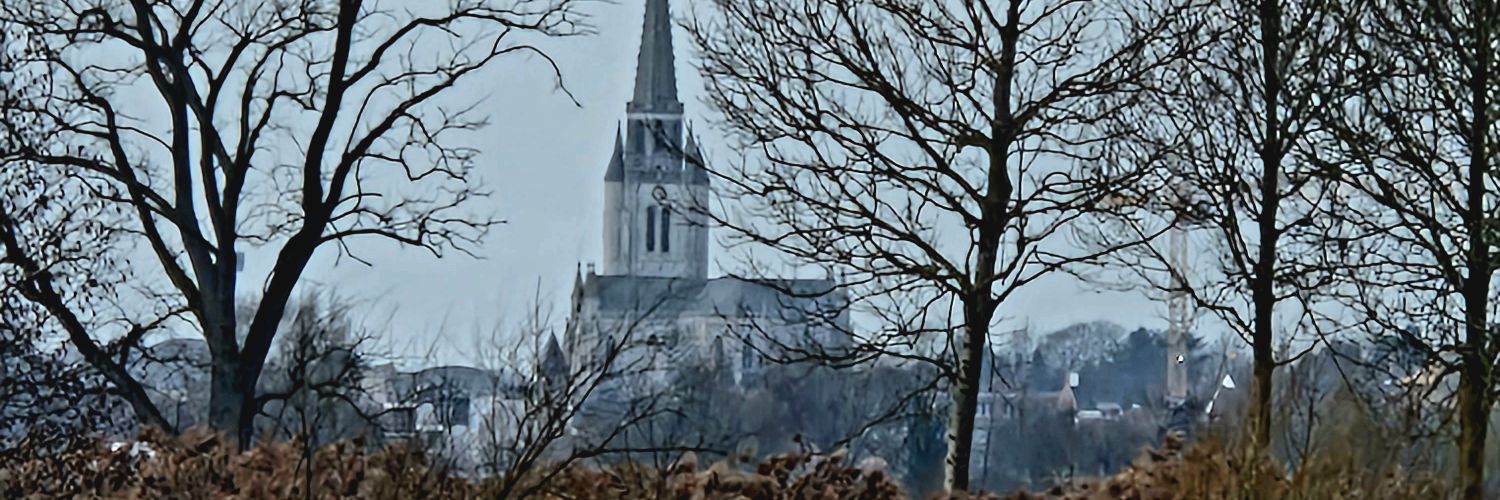 TerrierV's profile banner image