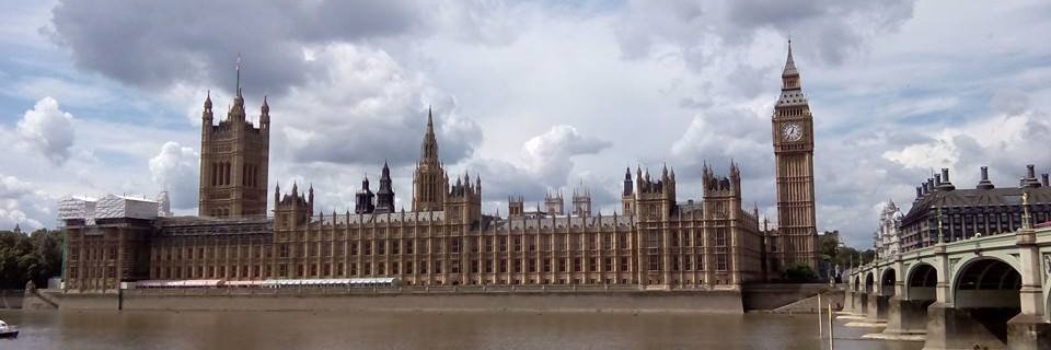 Fausto moreno banner