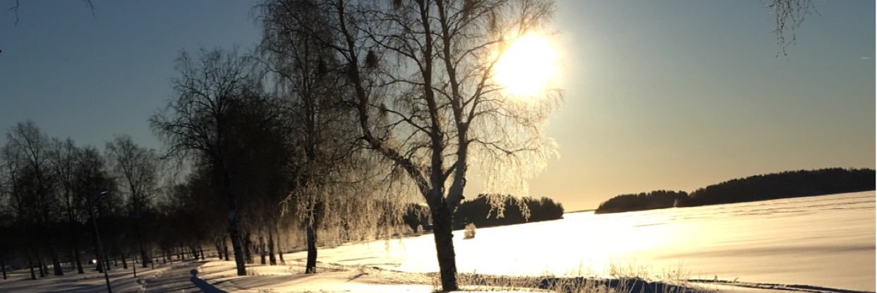 CesarHenriksson's profile banner image