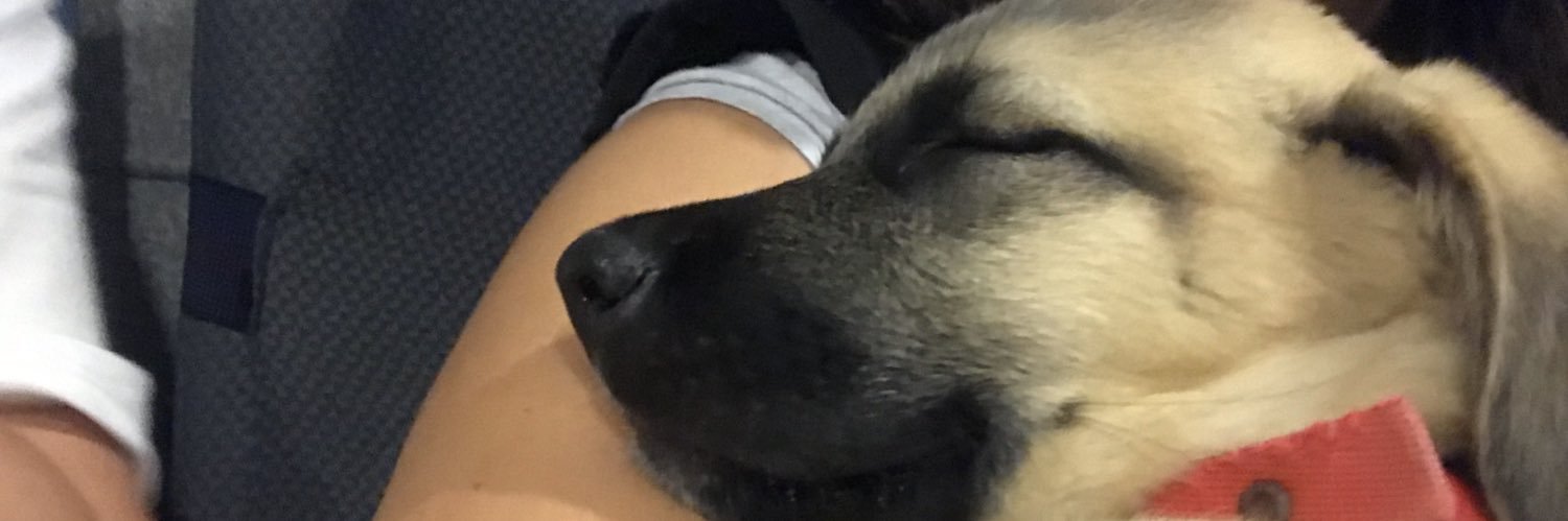 mrvsrtl's profile banner image