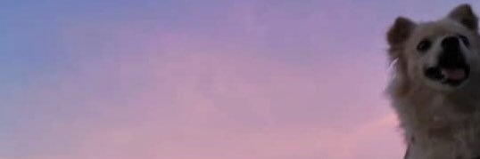 rainxx__'s profile banner image