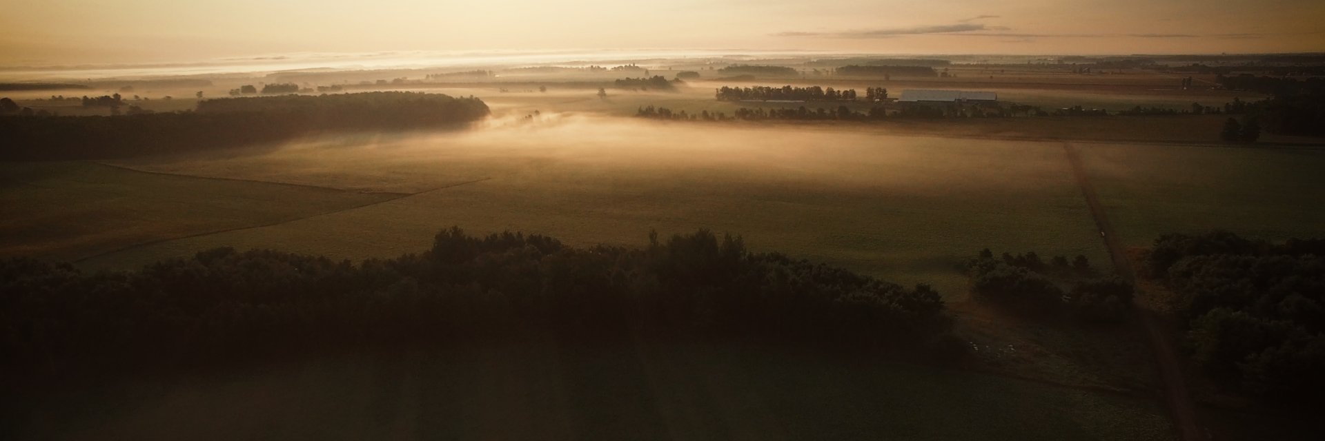 Emerald Grasslands banner