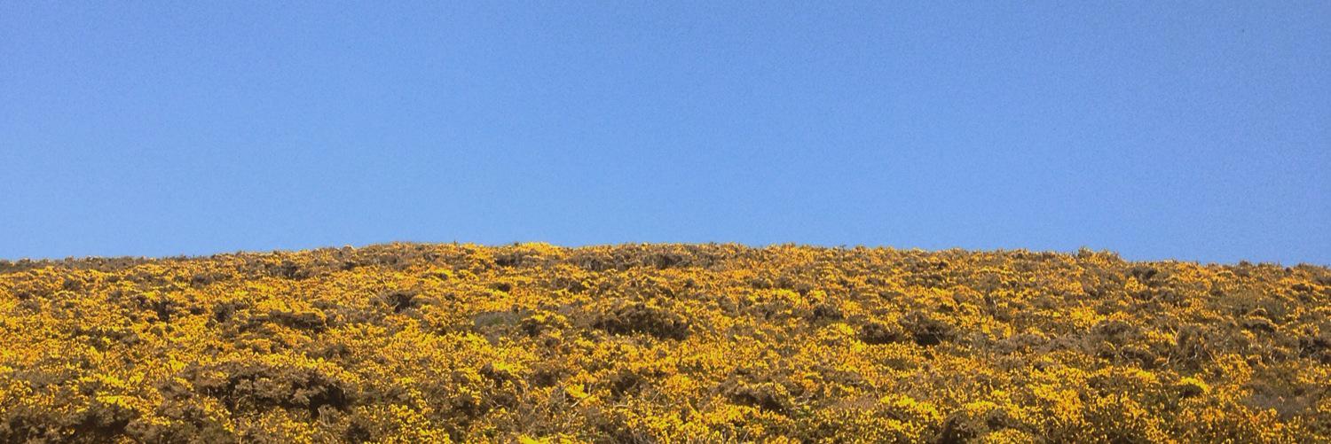 Clozzer3's profile banner image