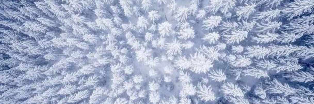 ElLEoNiA _ OFfICaL banner