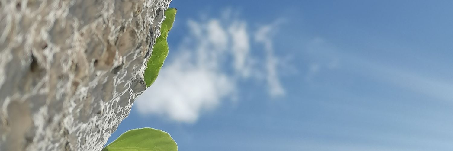 Adonayslopez's profile banner image