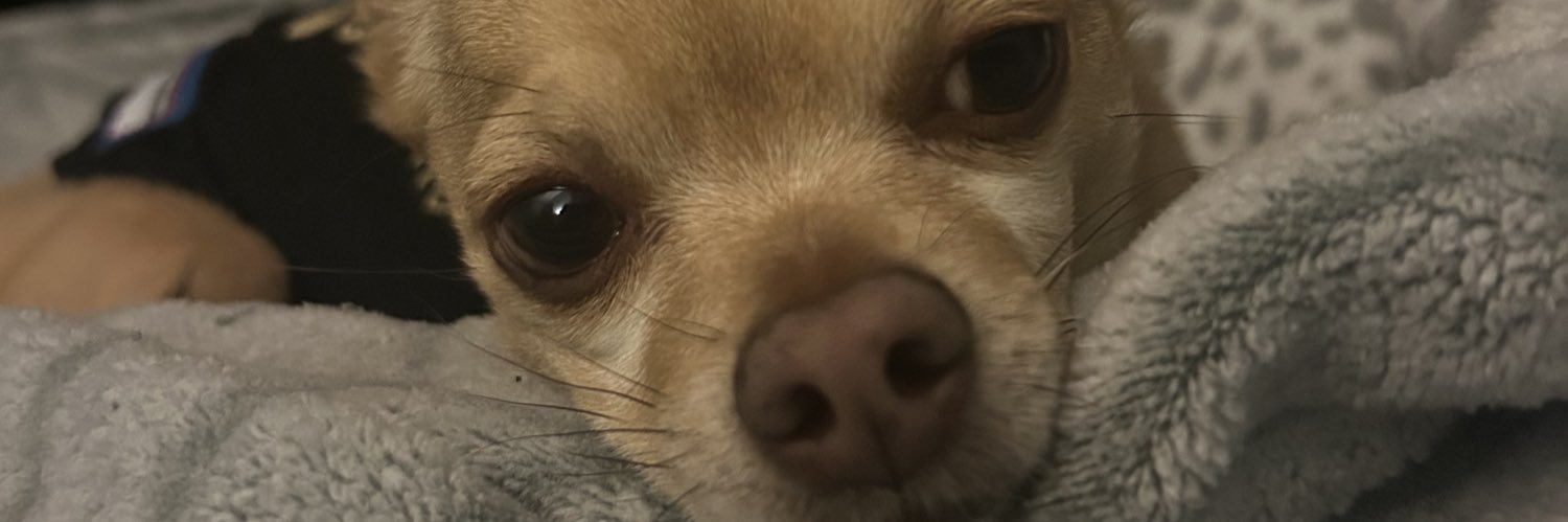 bbrookie_'s profile banner image