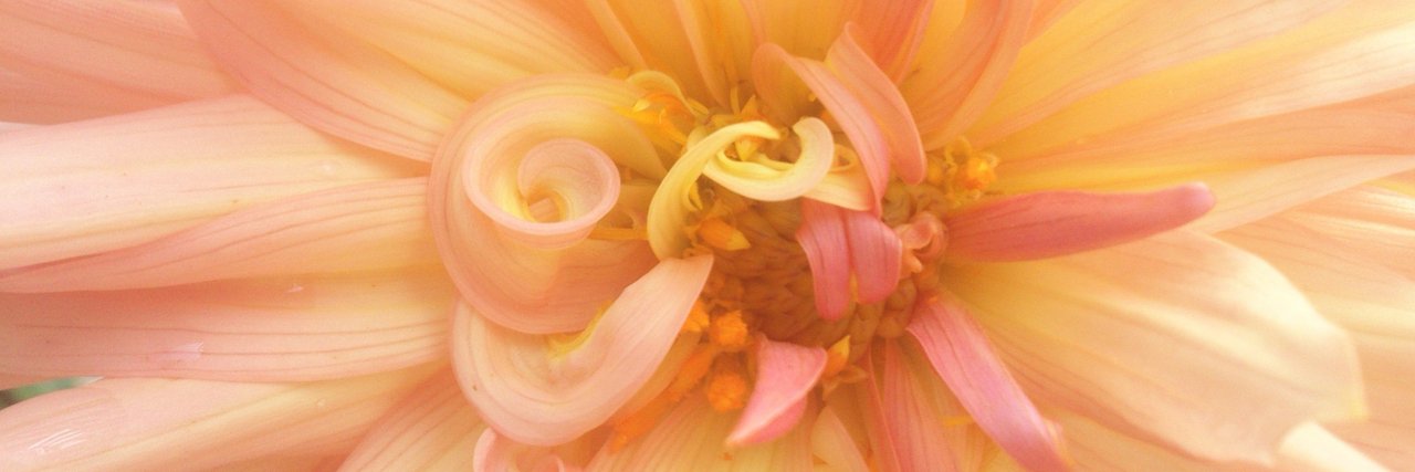 NicoGites's profile banner image