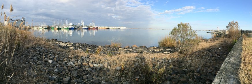 Daphne Munroe banner