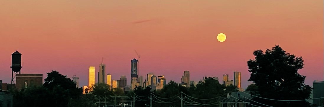 🇨🇦Black DeMarco banner