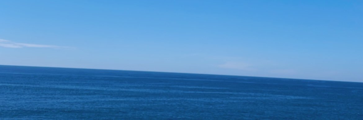 BeaParker's profile banner image