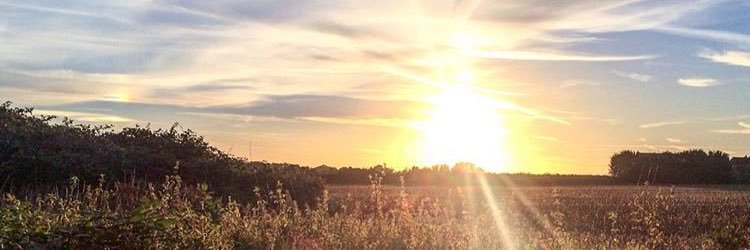 LittleMissLi's profile banner image