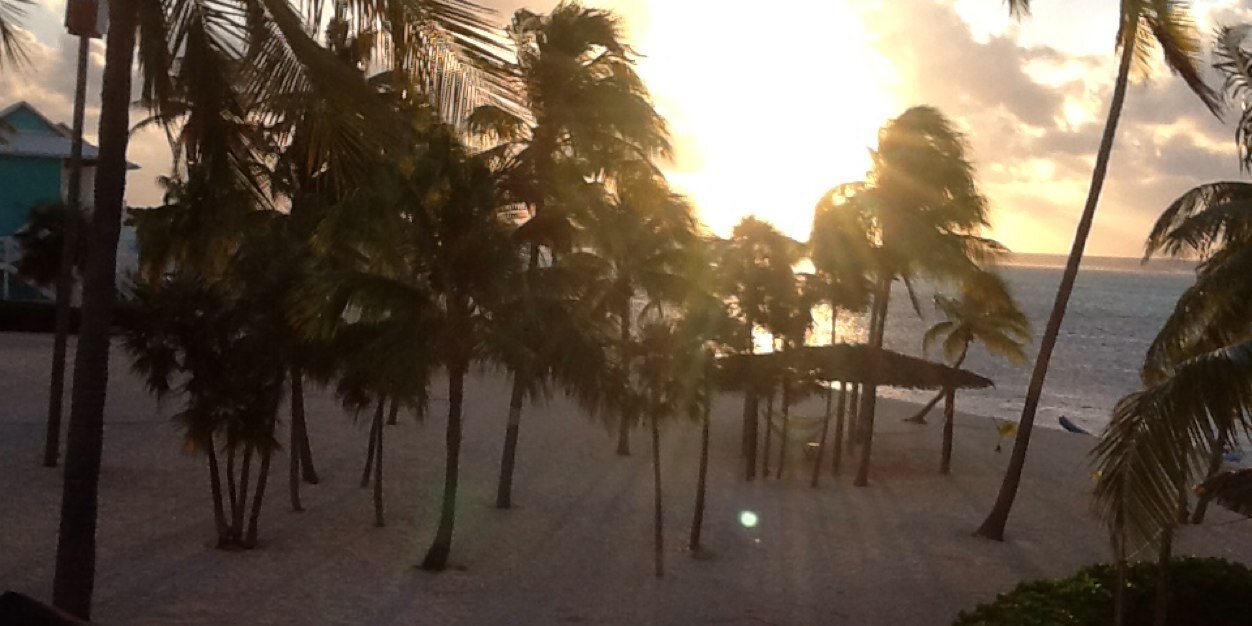 Steve Buchanan banner