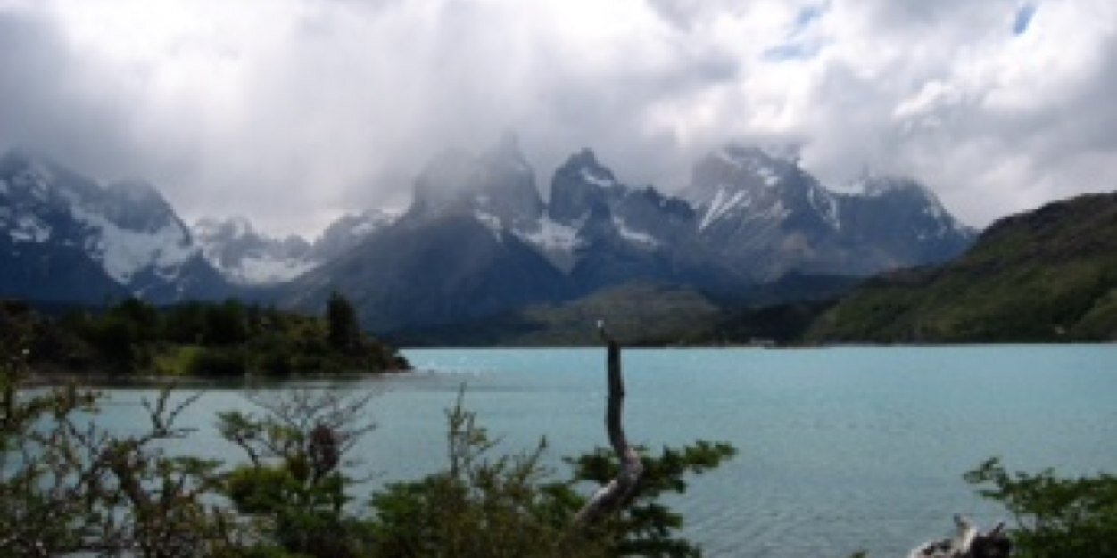 Sophie Williams 💙 banner