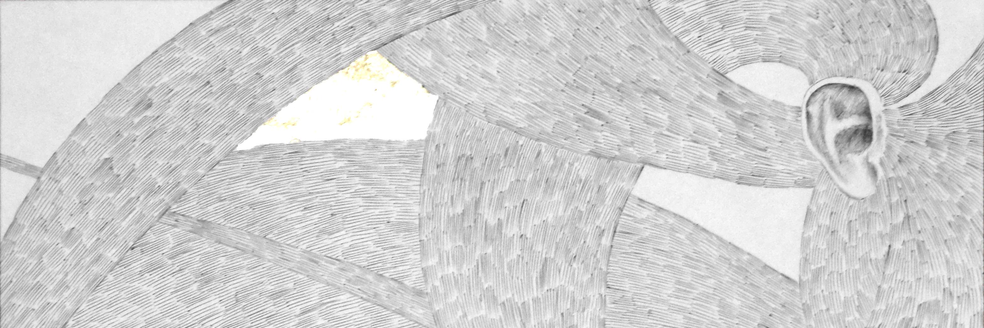 Арген banner