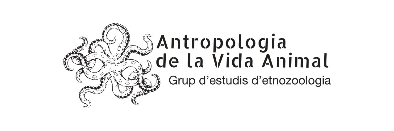 Grup AVA banner