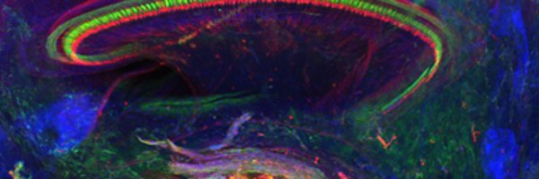 uwcnc Profile Banner