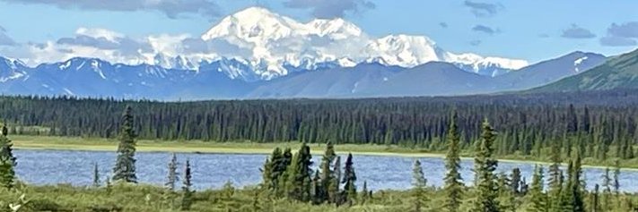 Lexi Belculfine banner