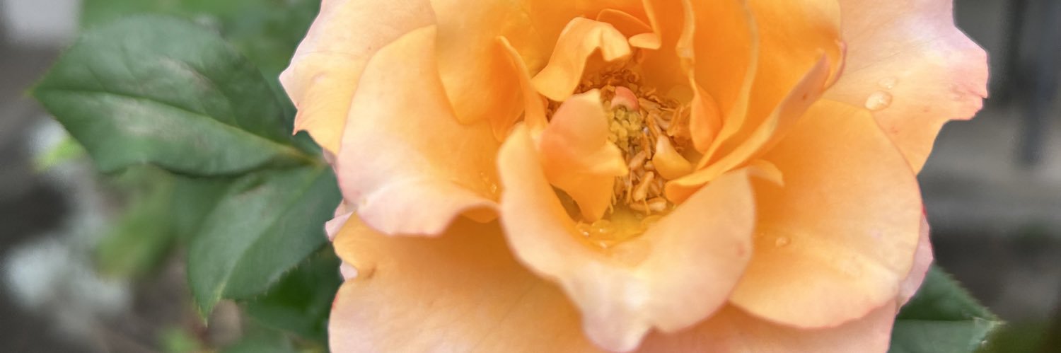yuen1969's profile banner image