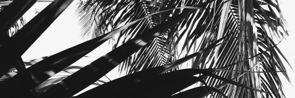 Jacquie banner