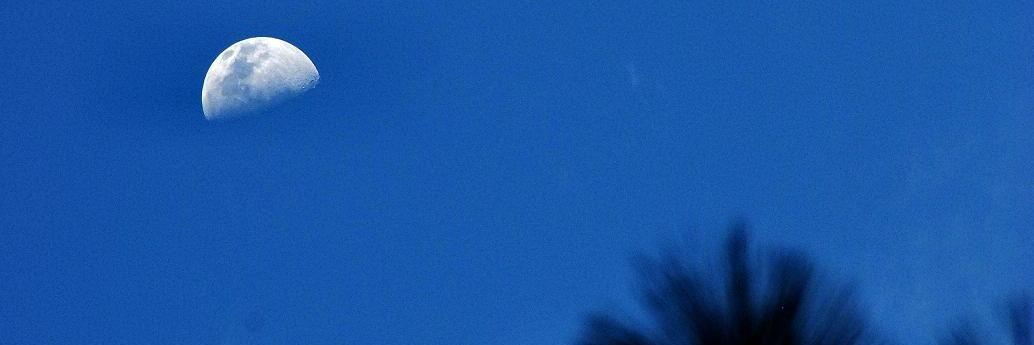 Fredvaez's profile banner image