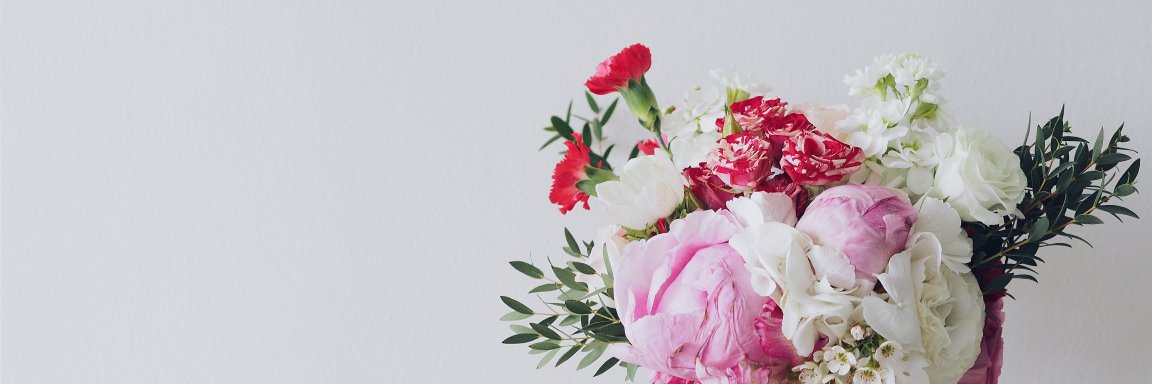 Sandra_vvn's profile banner image