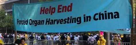 UNBRANDED banner