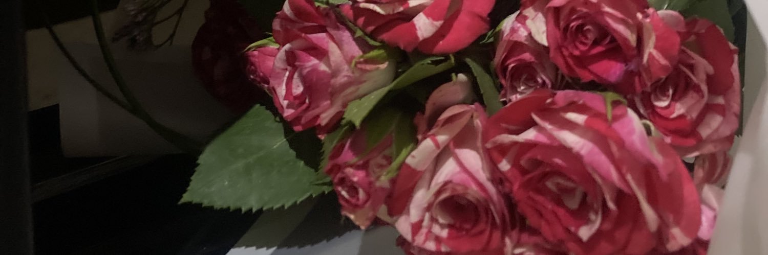 iemm155's profile banner image