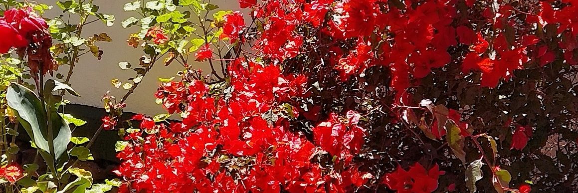 may_crespo16's profile banner image