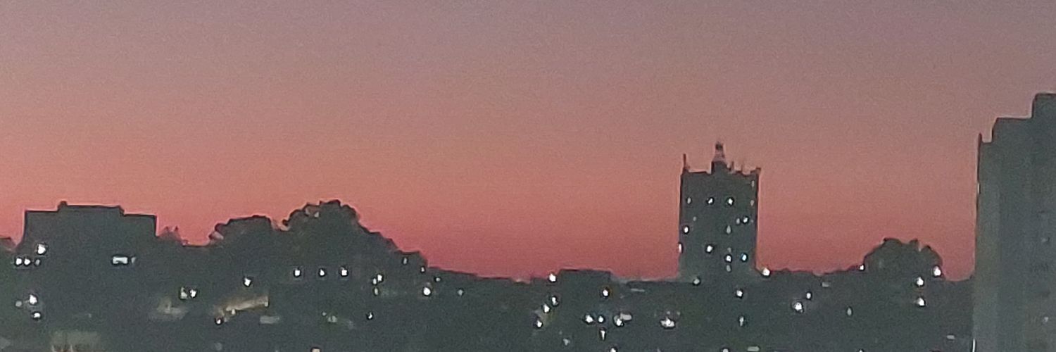duducricri's profile banner image