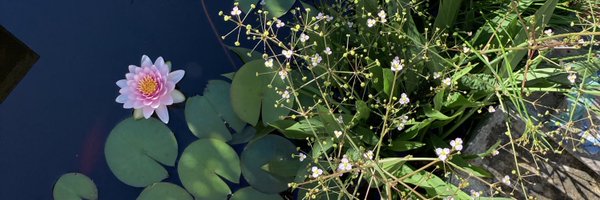 CateCipi Profile Banner