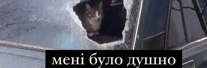 Feschenko's profile banner image